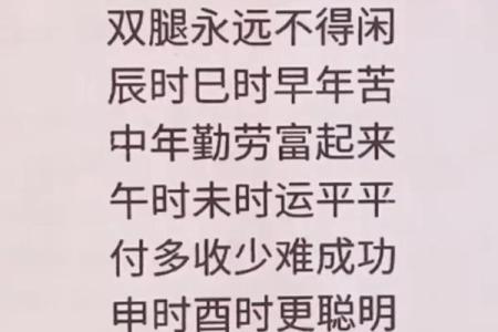 2023年申时：聪明与机遇的命年，掌握变革与成长的钥匙