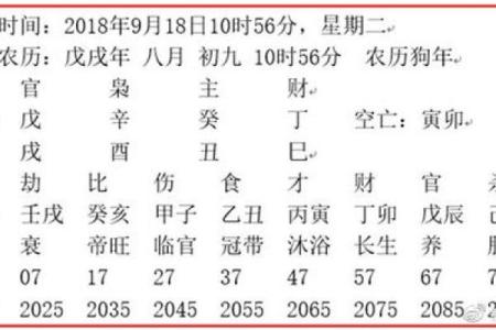 戊土命的职业选择：适合的专业与发展方向分析
