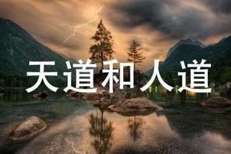 探寻“命”之奥秘：与命相关的成语背后的故事与智慧