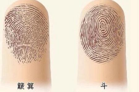 周易解读：簸箕命的神秘性与人生启示