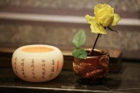 解析科权禄夹命：女性命理与生活运势的秘密