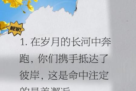 1982年出生的人：命中注定的婚姻与爱情之旅