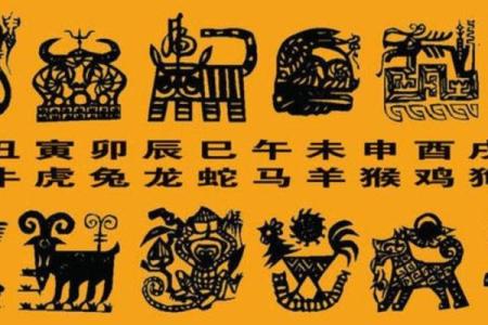 2009年属什么命？让我们一起探寻神秘的命理世界！