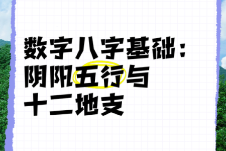 六两七女命与男命的最佳搭配，揭开命理奥秘！