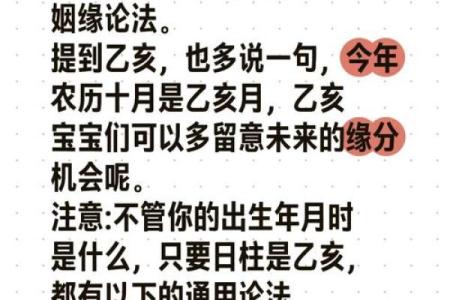 探索乙亥年与1995年命格的深层寓意与人生哲学