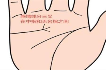 揭秘9091年属什么命：独特的命理与生活智慧