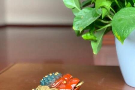 水中金命运势提升的招财摆件选择指南