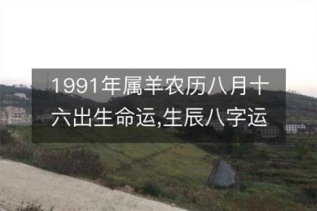 91年属羊，性格解读与命运分析