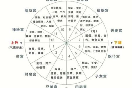 揭秘命运：哪些命格容易导致短命？