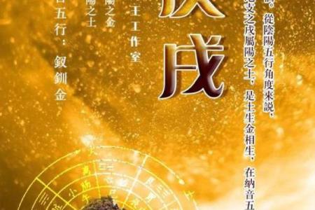 金命之人财运与颜色的奇妙关系探究