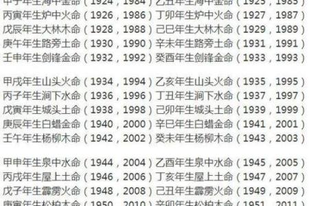 火命属相解析：揭示你的命运之路与火的神秘力量