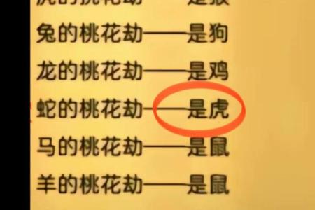 属相与命运：理想婚配的秘密解读