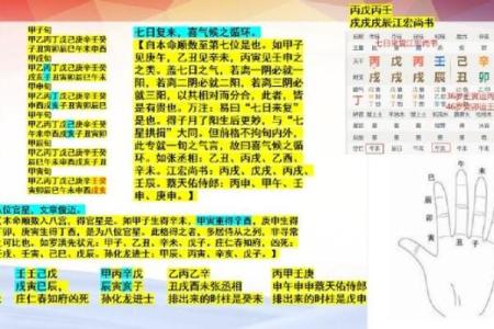 甲子辛未未时出生的人生运势与命理解析