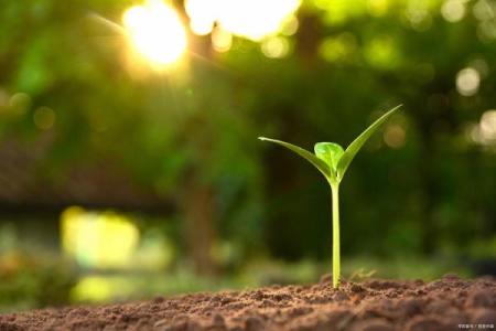 在四季更替中探寻生命的意义与美丽