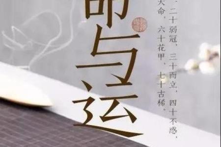 2023年牛年命人的命运与生活启示