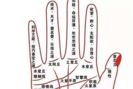 浅薄手纹的命格解析：命运与潜能的神秘关联