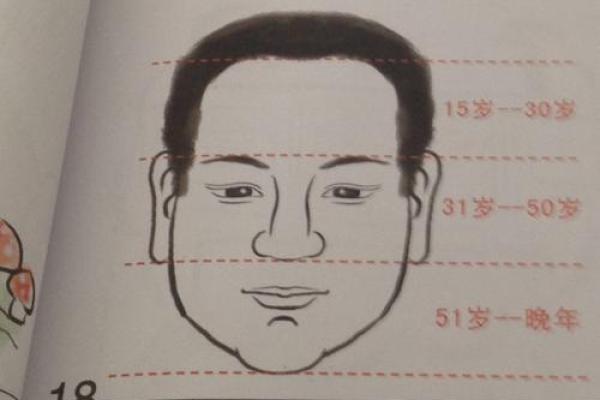 1980年出生的38岁命运解析:你的命运如何影响人生选择与发展? 1980年出生的38岁命运解析:你的命运如何影响人生选择与发展?