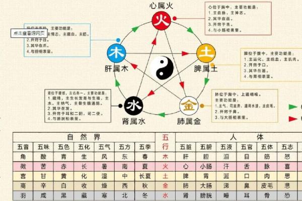 命理分析:你的身体缺什么?揭秘五行与健康的奥秘 命理分析:你的身体缺什么?揭秘五行与健康的奥秘