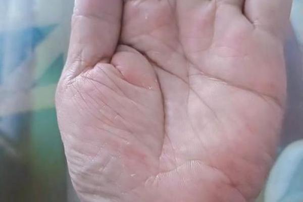 男人手软心理解析:生活态度与个人命运的巧妙关联 男人手软心理解析:生活态度与个人命运的巧妙关联