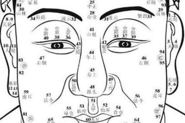 71年出生的男人:独特的命运与人生轨迹 71年出生的男人:独特的命运与人生轨迹