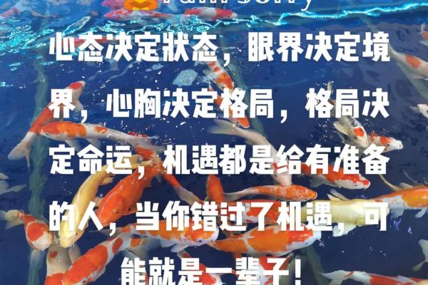 1981年9月:命运交响曲中的人生选择与机遇 1981年9月:命运交响曲中的人生选择与机遇