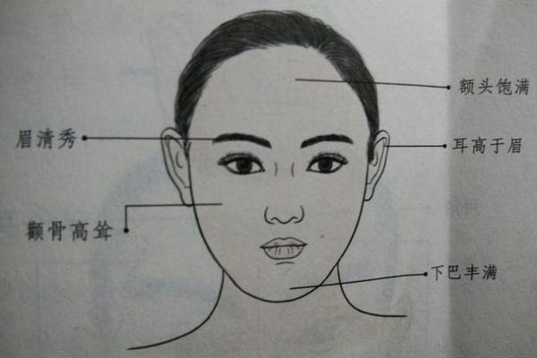 1965年出生的女性命运与个性特征探析 1965年出生的女性命运与个性特征探析