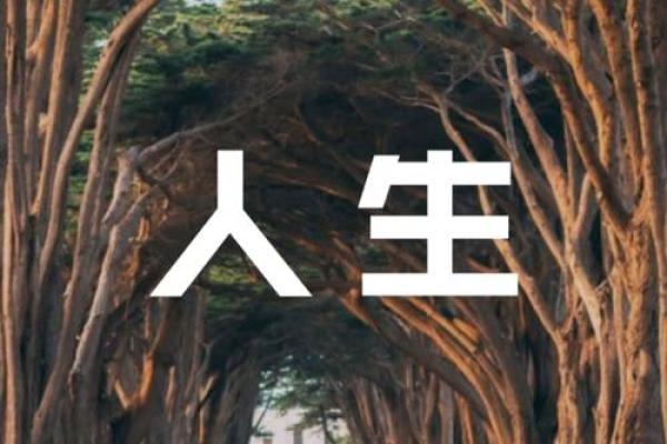 甲戌、乙亥、乙丑命格解析:命运与人生的影响与启示 甲戌、乙亥、乙丑命格解析:命运与人生的影响与启示