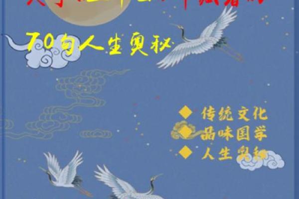 揭开50岁属狗人的命运之谜,洞悉人生每个阶段的奥秘 揭开50岁属狗人的命运之谜,洞悉人生每个阶段的奥秘