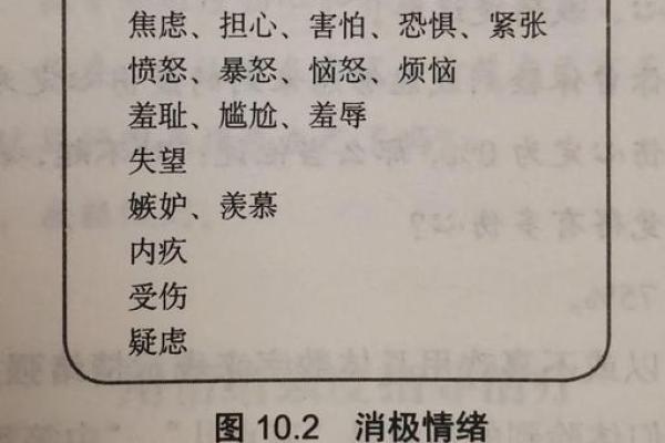 命里带龙之人最适合的职业与情感伴侣解析