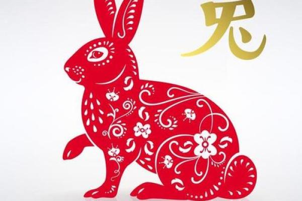 兔年出生25岁的人属什么命?详解命运与性格特点! 兔年出生25岁的人属什么命?详解命运与性格特点!