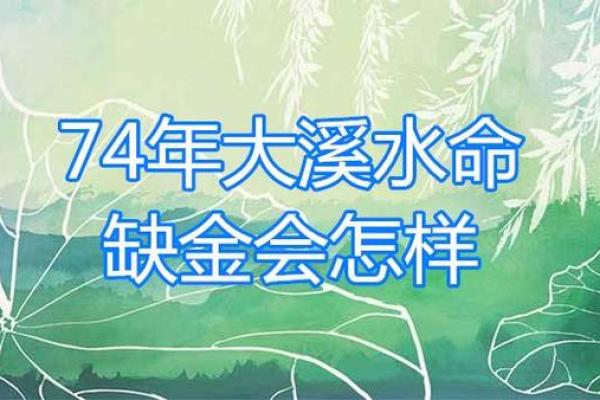 水命人喜忌解析:水命之人的生活哲学与运势指导 水命人喜忌解析:水命之人的生活哲学与运势指导