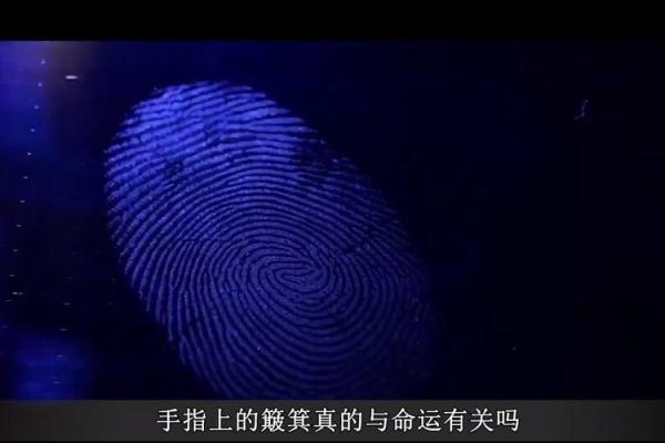 命格解析：纹龙之命的奥秘与人生启示