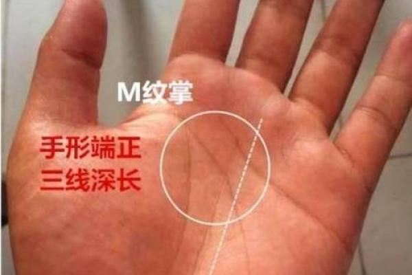 命格解析：纹龙之命的奥秘与人生启示