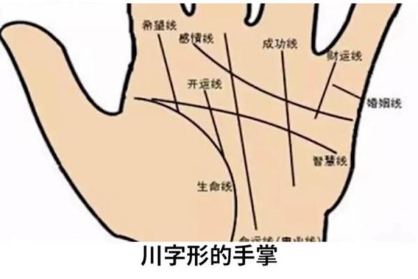 掌纹解读：探寻手心凸起与命运的奥秘