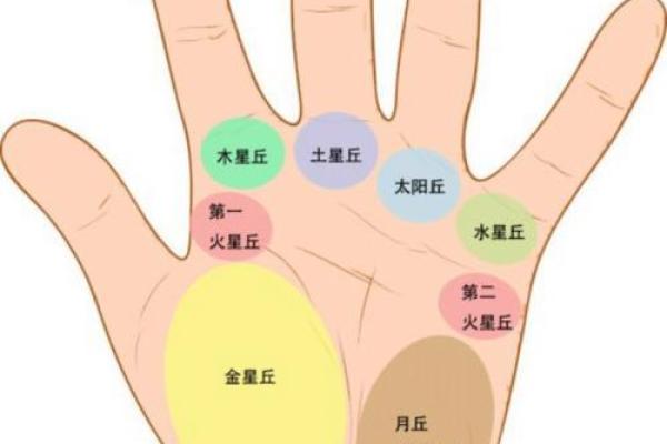 掌纹解读：探寻手心凸起与命运的奥秘