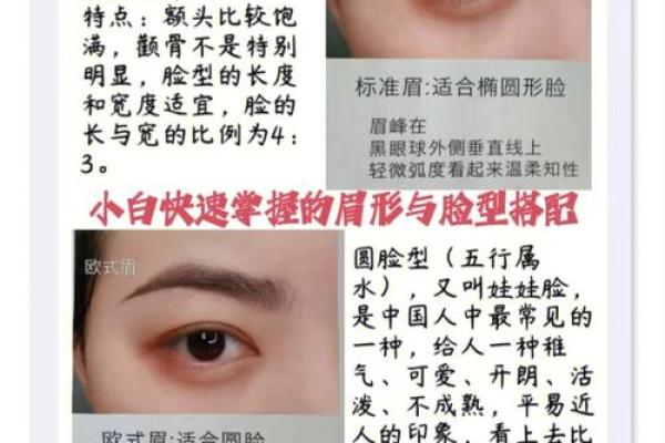 眉毛粗大的人命格解析：命运与面相的奥秘