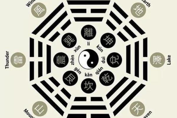 探寻土命之人：从五行之中寻找你的生活指南