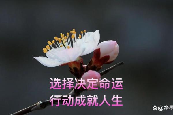 5月23日出生的命运解析:探索这个特别日子的性格与人生旅程 5月23日出生的命运解析:探索这个特别日子的性格与人生旅程