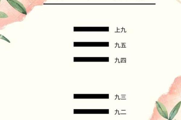 探秘1981年木鸡:命理中的智慧与人生启示 探秘1981年木鸡:命理中的智慧与人生启示