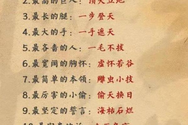 神秘与魅力交织的舞蹈:探寻成语里的舞动之美 神秘与魅力交织的舞蹈:探寻成语里的舞动之美