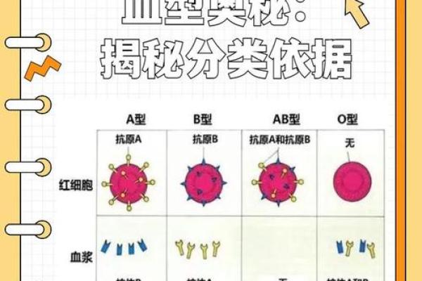 揭秘!不同血型的人生运势与命运之间的奥秘 揭秘!不同血型的人生运势与命运之间的奥秘