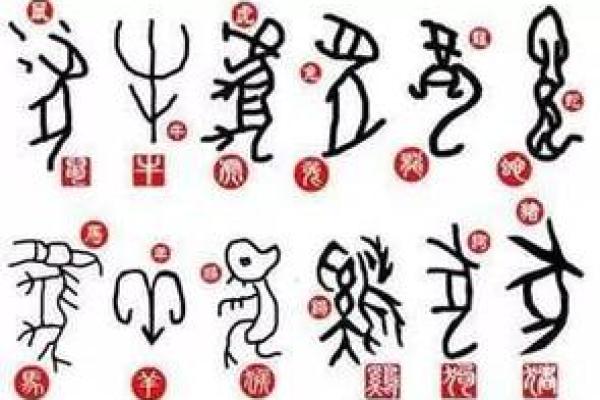 探秘1012宝宝命理:解读出生于2012年的孩子命格运势 探秘1012宝宝命理:解读出生于2012年的孩子命格运势