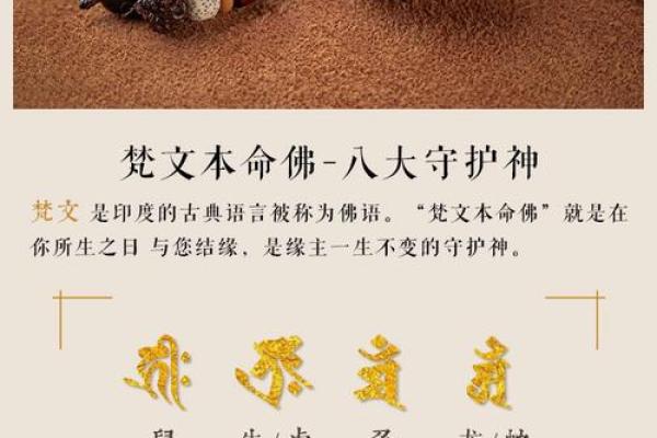 男木命适合的行业分析与发展建议 男木命适合的行业分析与发展建议