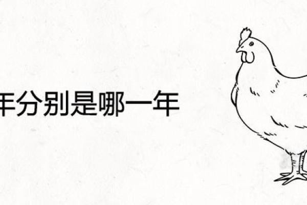 鸡年午时出生的命理解析与人生运势探讨 鸡年午时出生的命理解析与人生运势探讨