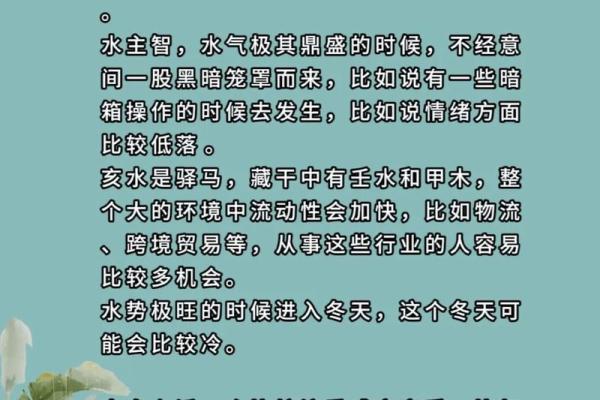 癸亥年出生男命解析：命理特点与运势展望