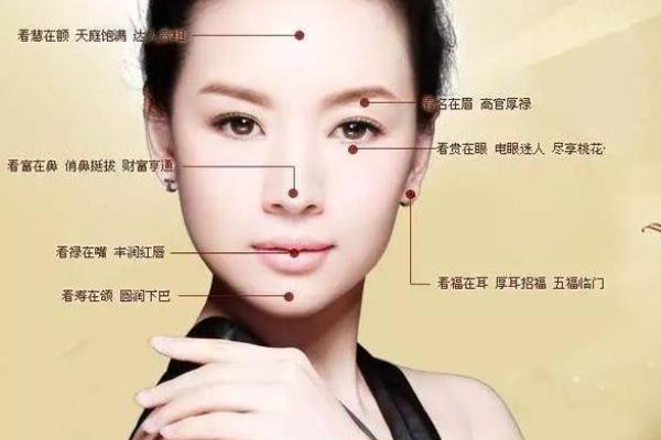 揭秘富贵命女子的面相特征,助你找到人生赢家! 揭秘富贵命女子的面相特征,助你找到人生赢家!