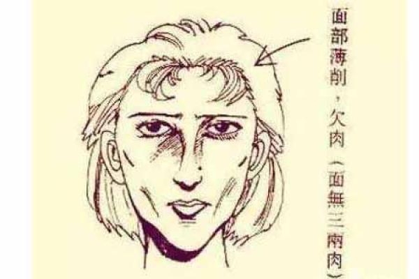 女生脚趾短的命运解析:从风水到性格的多维解读 女生脚趾短的命运解析:从风水到性格的多维解读