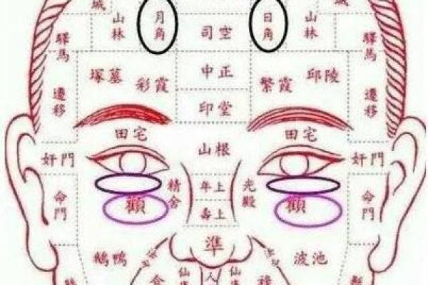 男子鼻头窄的面相解析：揭秘其命运特征与影响