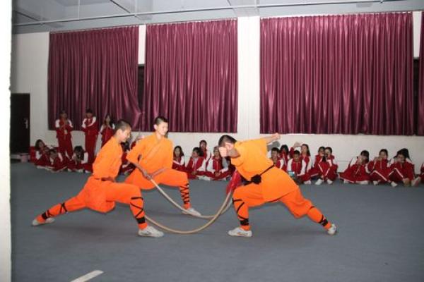 少林武术中的命格属性解析:修炼与命运的结合之道 少林武术中的命格属性解析:修炼与命运的结合之道