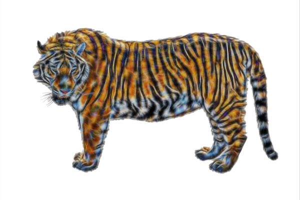 男四两八命解析:一生的运势与性格特点探讨 男四两八命解析:一生的运势与性格特点探讨